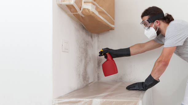 Professional Bathroom Mold Removal technician working in Ludington, MI