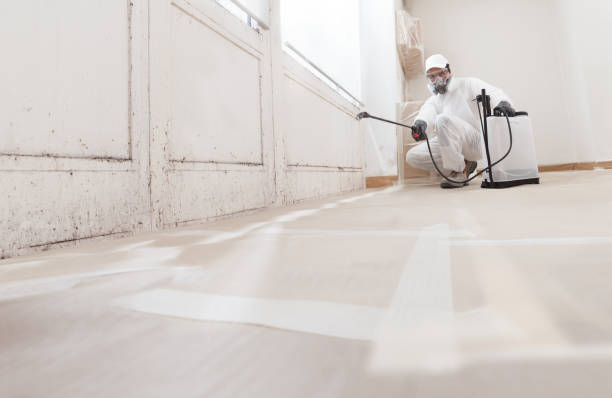 24/7 Emergency Bathroom Mold Removal experts in Ludington, MI