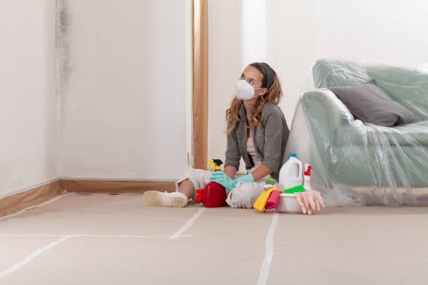 Reliable Bathroom Mold Removal contractor in Ludington, MI by Car Mold Remediation